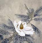 花卉图