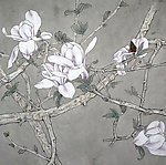 玉兰花