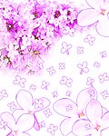 落花有意