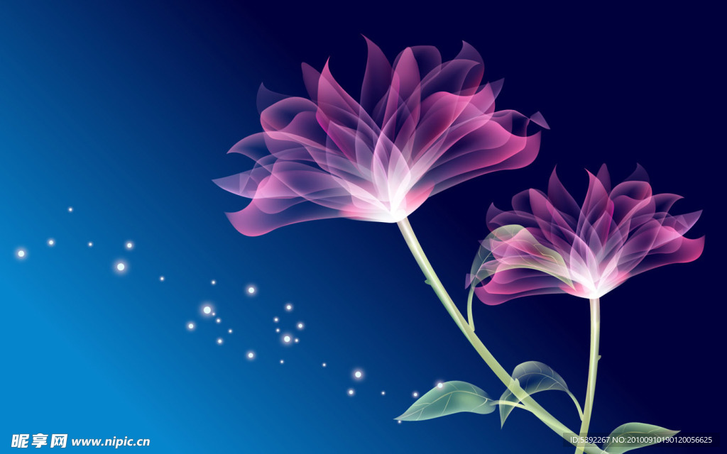 手绘花