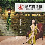 格尔森宣传图