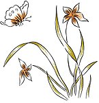 流行时尚花