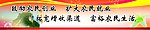 文化墙