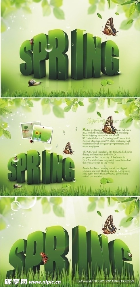 春天 绿色 spring字母