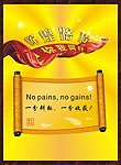 商业插画辉煌圣旨