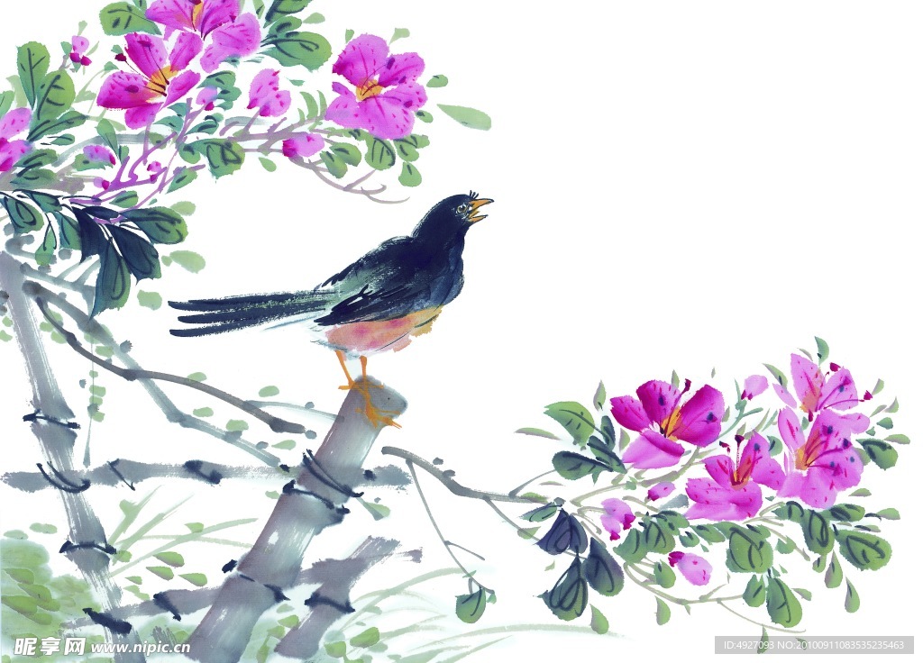 国画花草