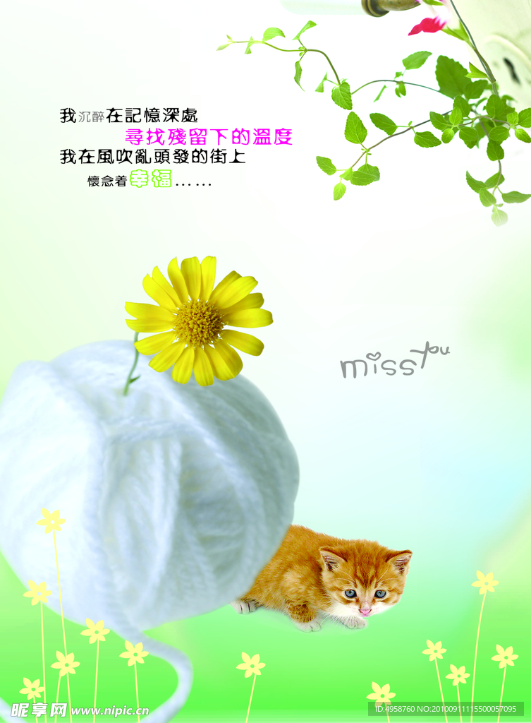 本本