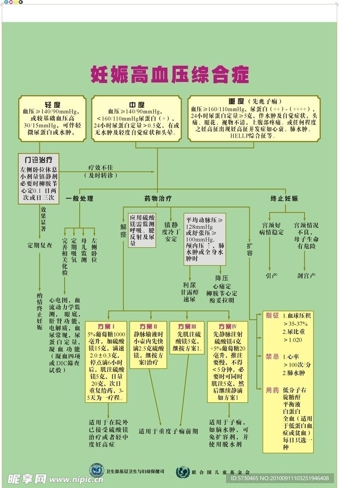 医院新生儿挂图