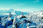 农村雪景