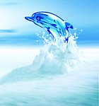 海豚