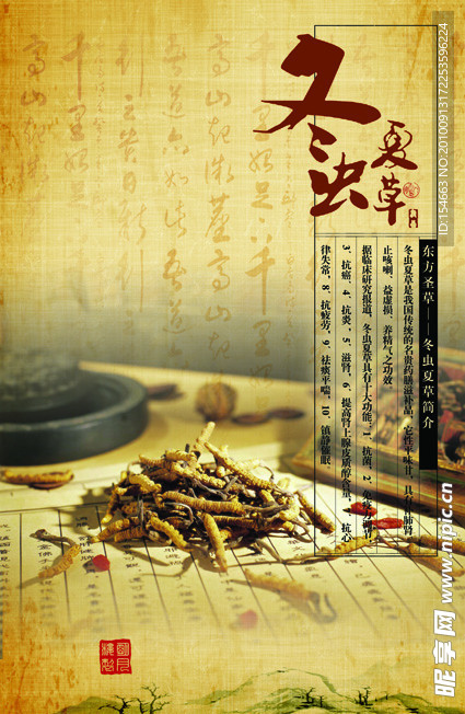 冬虫夏草中药灯箱