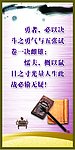 学校展板