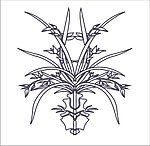 花纹 花边 雕刻图案