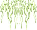 花纹 花边 柳树图案