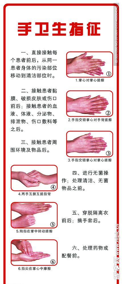 手特征