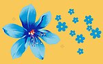 花边花纹