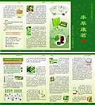 本草中药折页