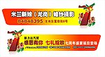 圣诞 7周年 米兰新娘 车贴