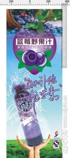 蓝莓设计