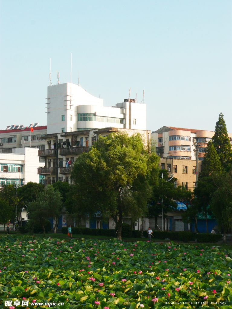 城市风景