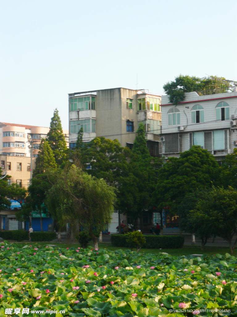 城市风景