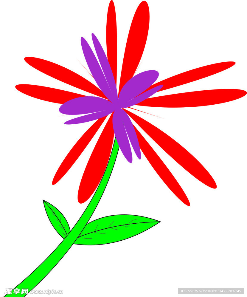 鲜花