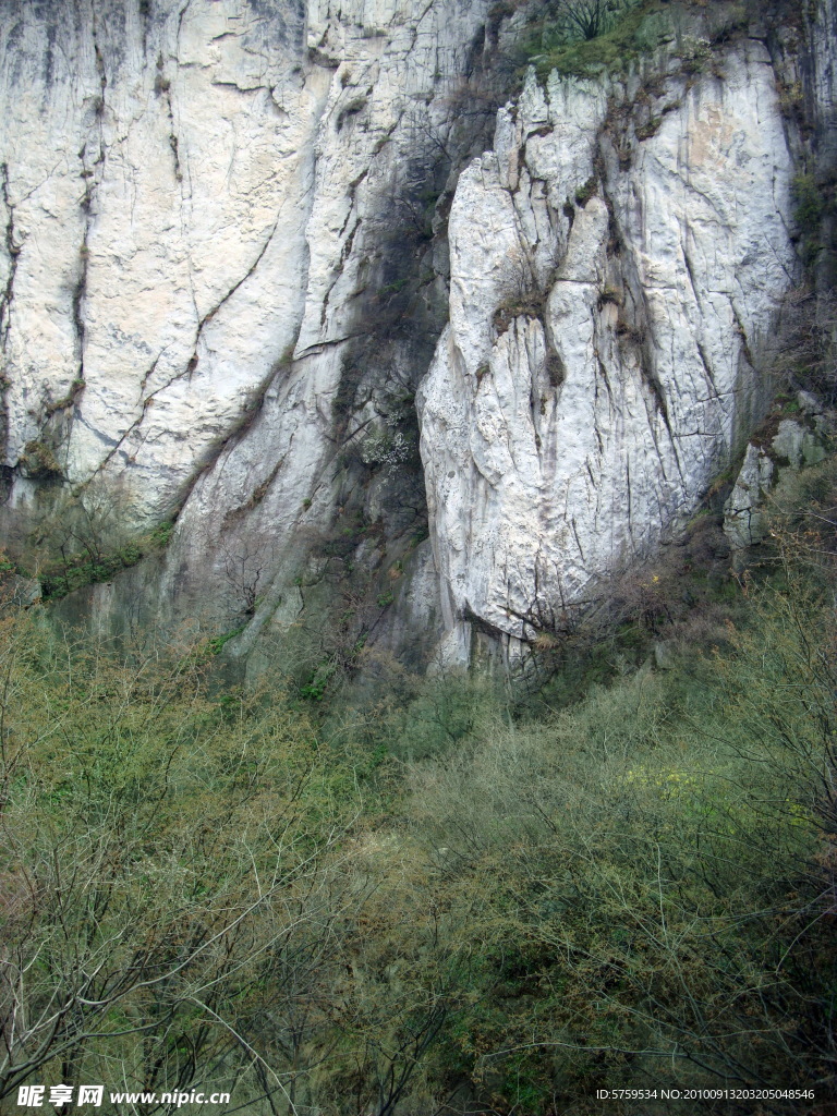 高山
