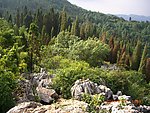 美丽的西山