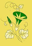 花边花纹