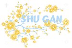 花边花纹