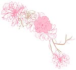 花边花纹