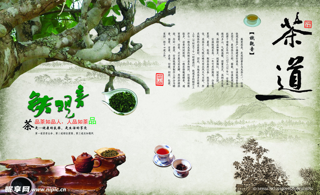 茶文化专题（铁观音）