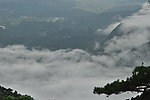 雾漫漫