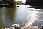 日本皇居