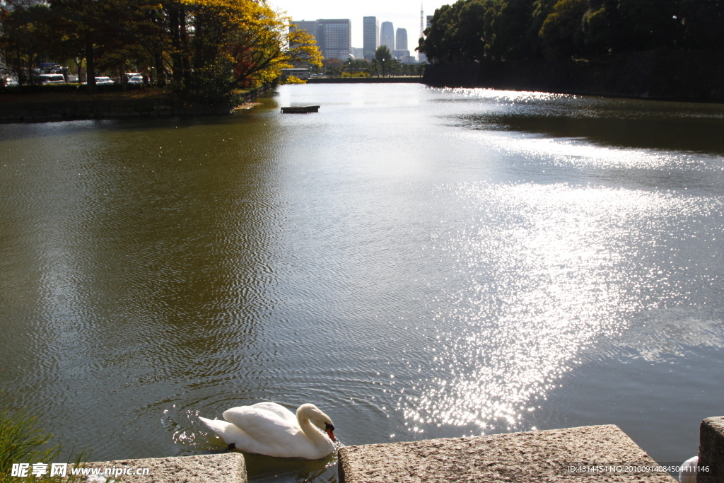 日本皇居