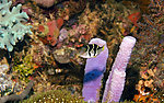 海底世界