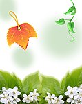 落叶无情