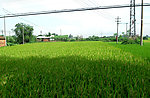 田园风光