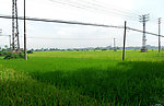 田园风光