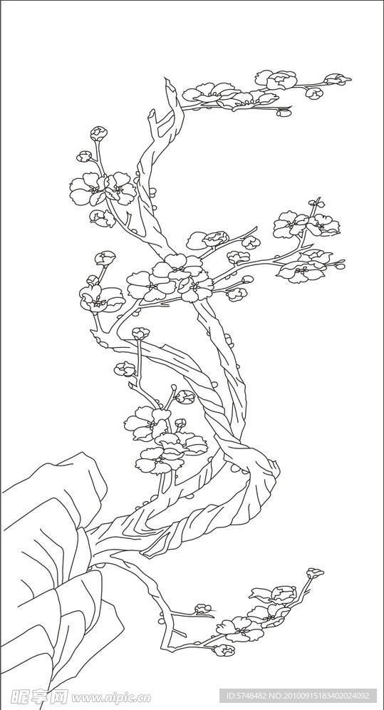 梅花