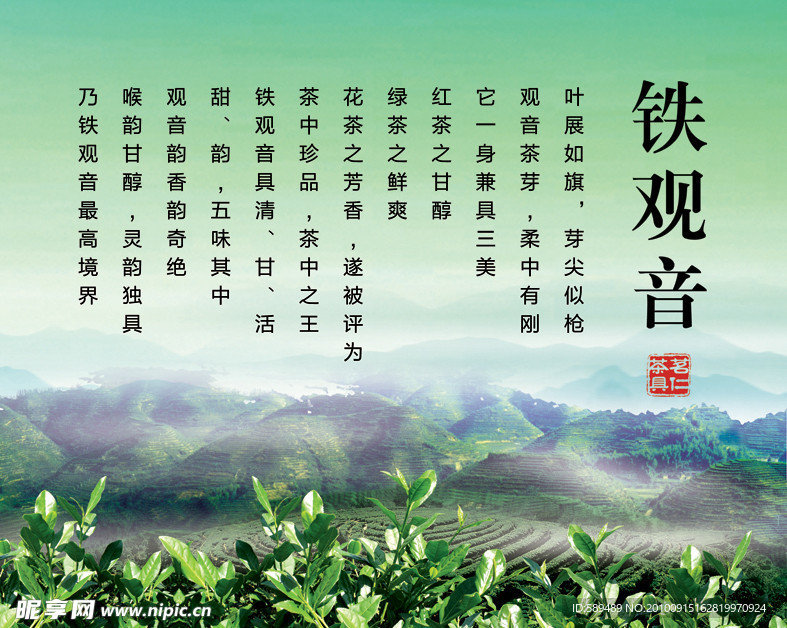 山国饮艺茗茶 铁观音