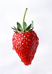 水果 草莓 高清晰摄影