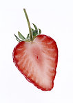 水果草莓 经典水果 高清晰摄影