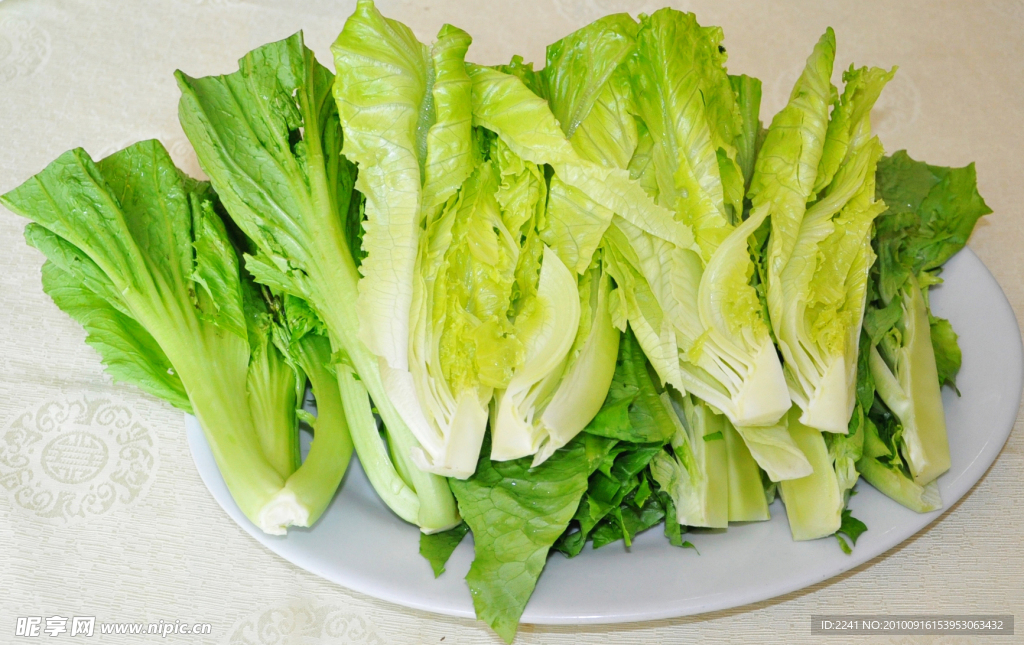 生菜