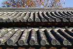 日本皇居