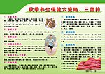 秋季养生展板