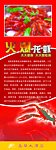 龙虾简介 火爆 龙虾