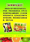 鲜榨果汁