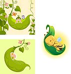 花草宝宝