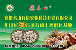 徽名山土鸡蛋
